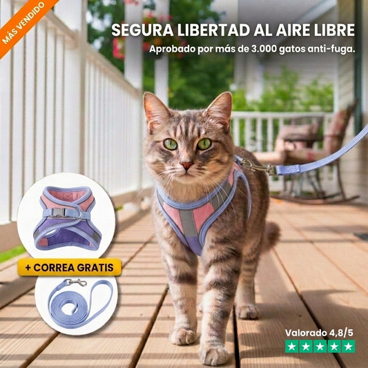 Arnés antiescape + Correa