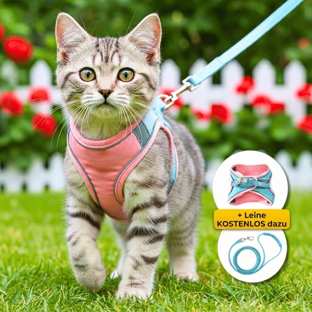 Ausbruchsicheres Katzengeschirr + Leine
