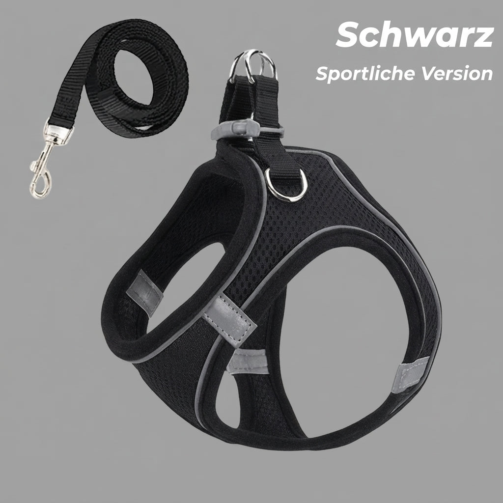 Ausbruchsicheres Katzengeschirr + Leine