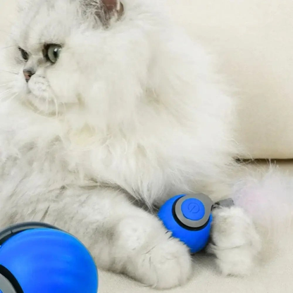 Wirbelschweif™ – Automatisches Katzenspielzeug