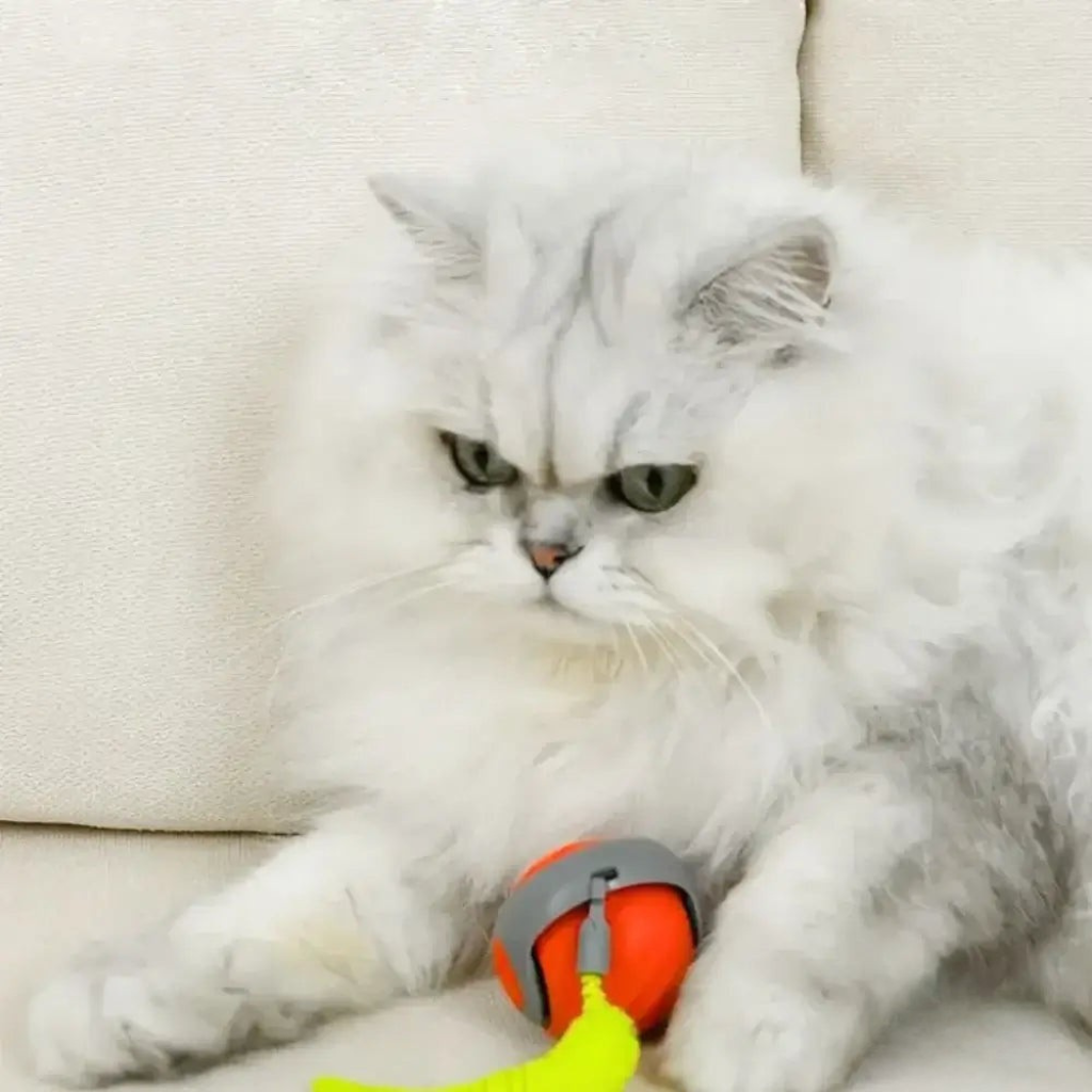 Wirbelschweif™ – Automatisches Katzenspielzeug
