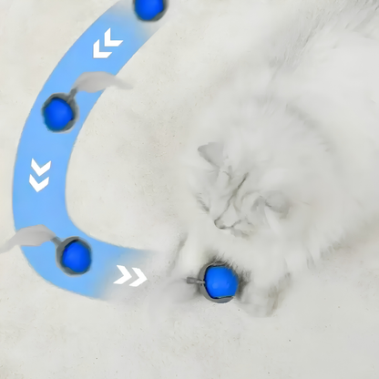Wirbelschweif™ – Automatisches Katzenspielzeug