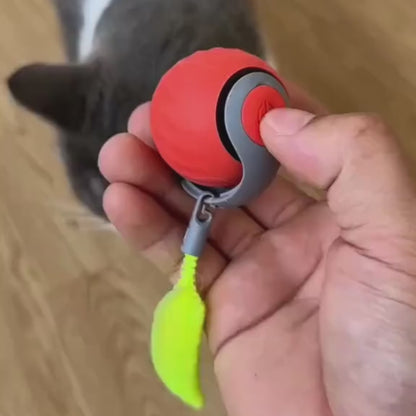 Wirbelschweif™ – Automatisches Katzenspielzeug
